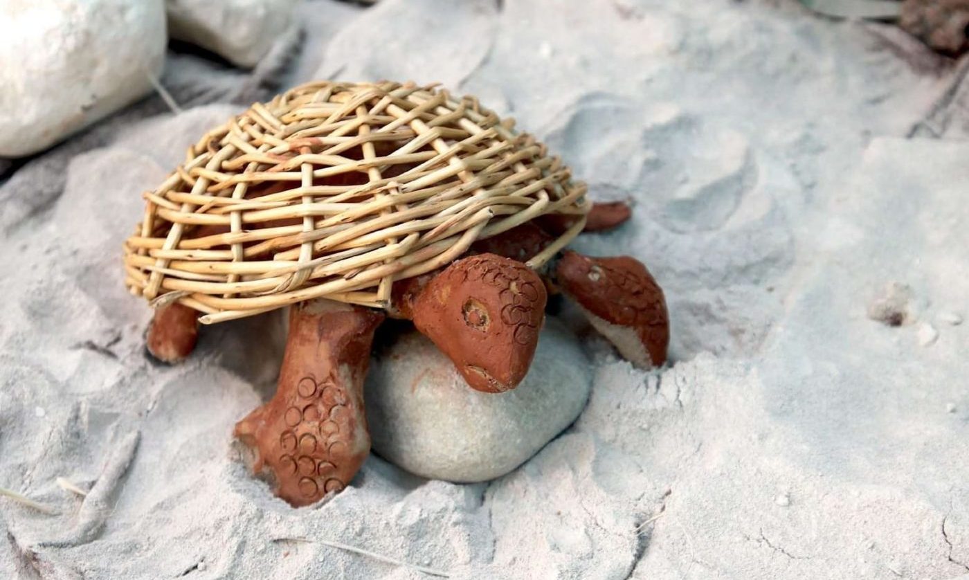 Histoires de cabanes - Tortue