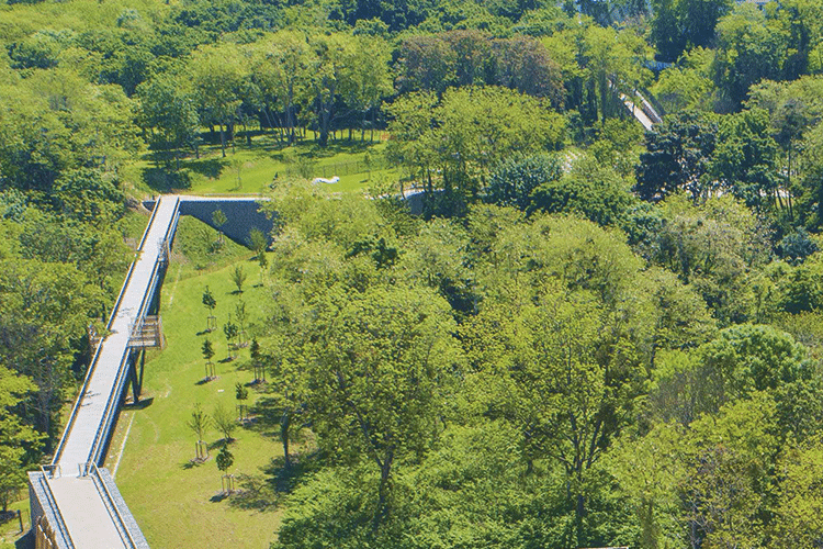Week-end "bien-être, sport et santé" sur l'Espace naturel régional de la Corniche des Forts