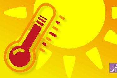 470x246_canicule