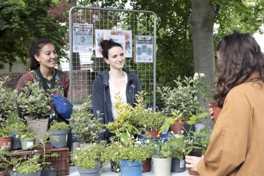 Fete_plantes