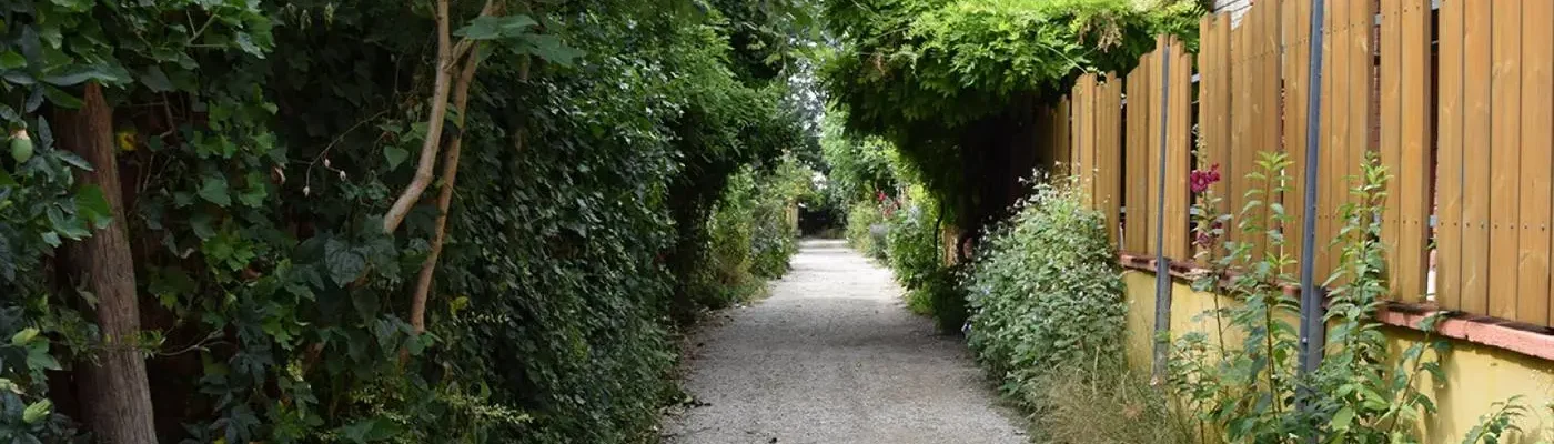 Verdure de la Villa Chassagnolle - bandeau