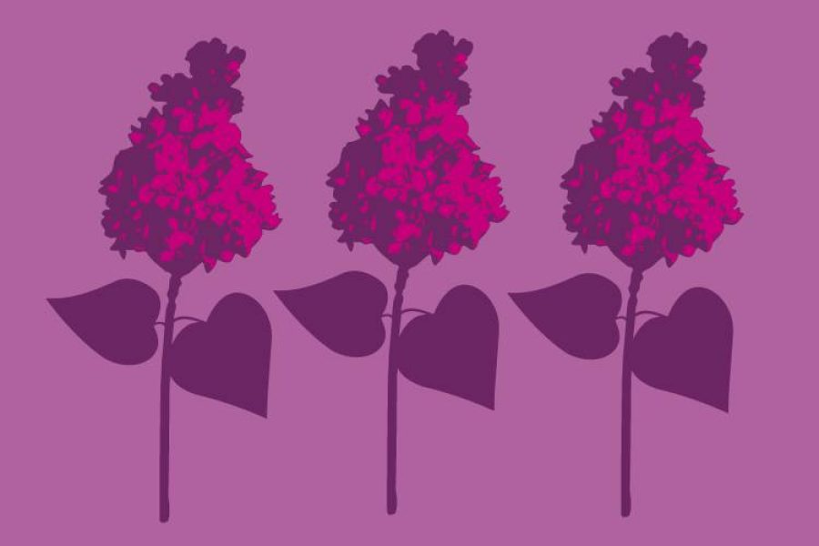 Ville des lilas