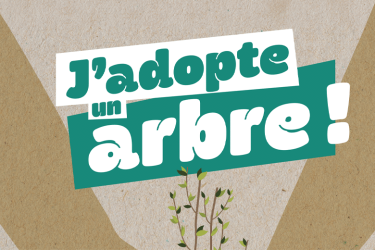 jadopte un arbre image actu